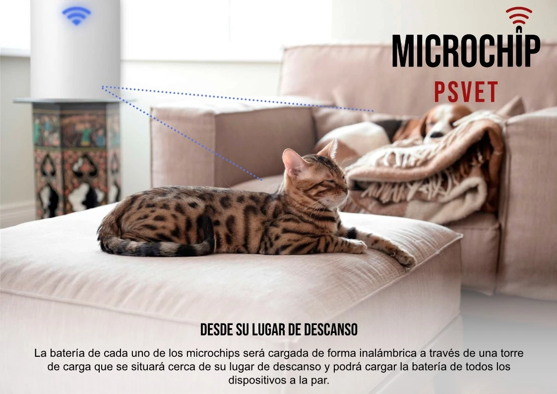 EMPRENDIMIENTO INNOVADOR: Microchip con GPS para las mascotas/animales - La  Fábrica de Inventos